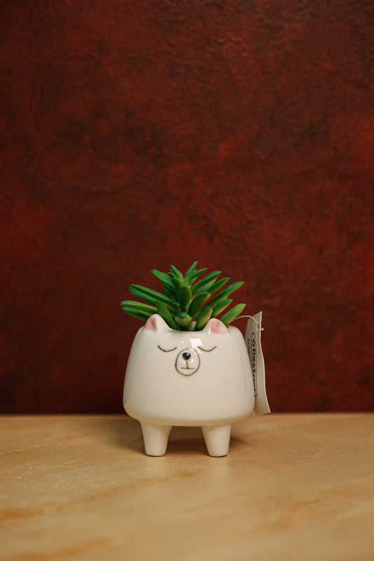 Mini kitty plant pot